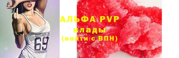 гашик Коряжма