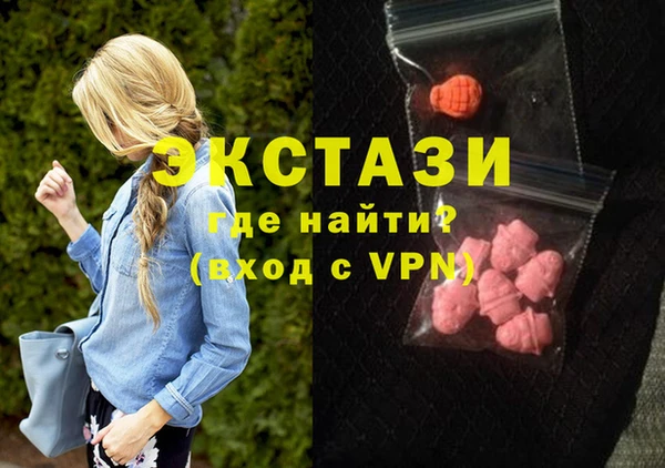 гашик Коряжма