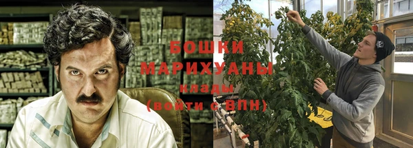 гашик Коряжма