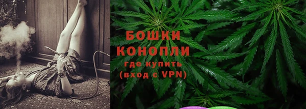 гашик Коряжма