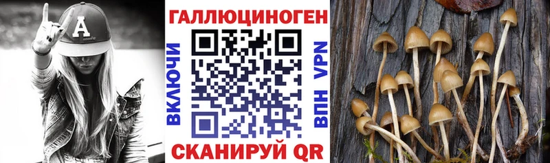 Купить где Котельниково Псилоцибиновые грибы прущие грибы